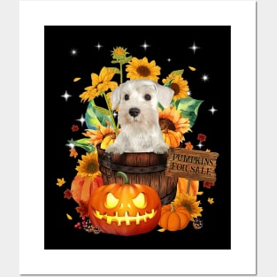 White Miniature Schnauzer Halloween Pumpkin Fall Bucket Posters and Art